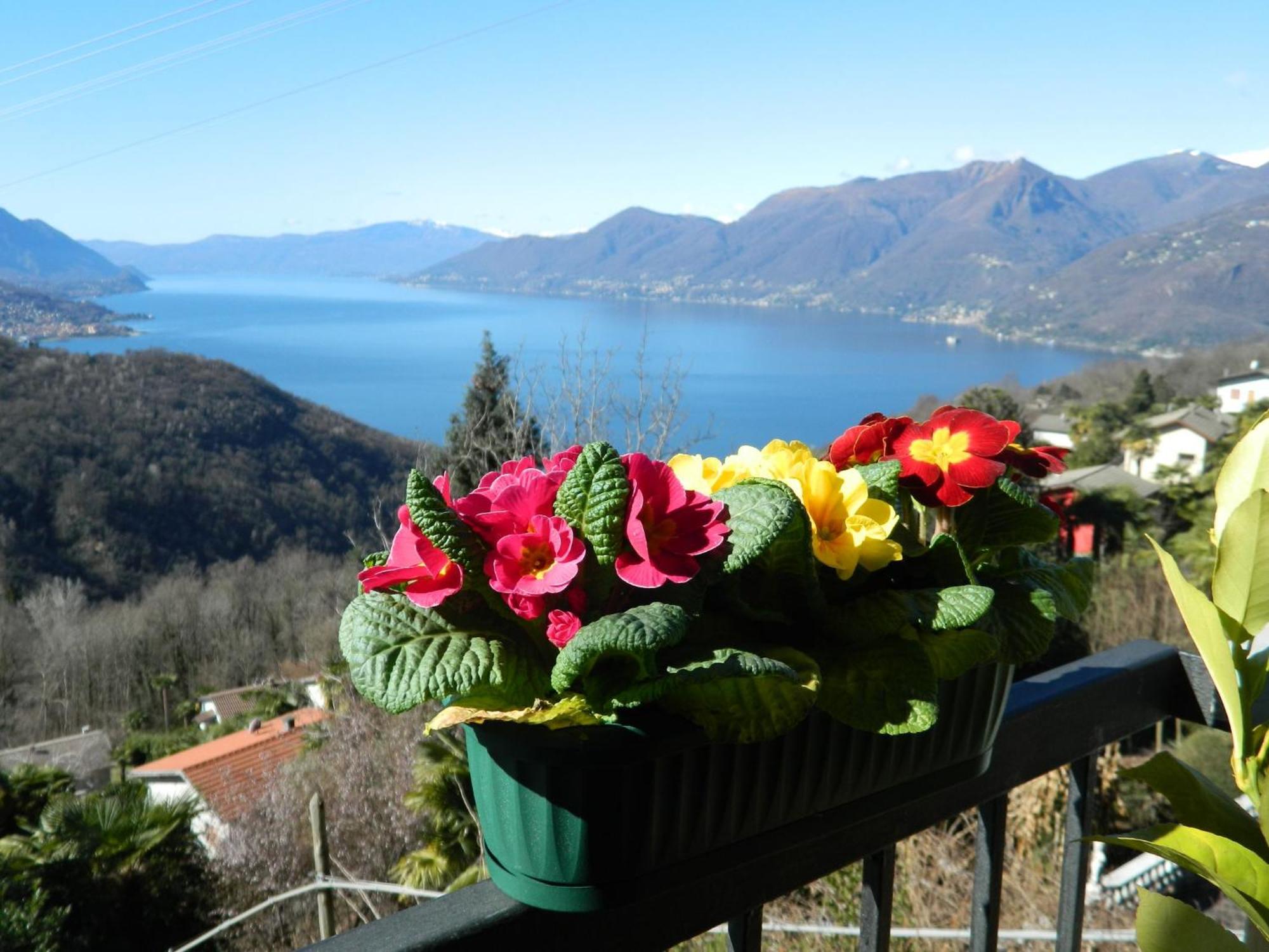 Lago Maggiore Holiday House, Lake View, Vignone Dumenza Екстер'єр фото